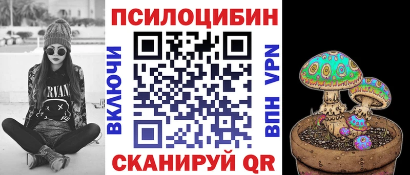 Псилоцибиновые грибы мицелий что такое наркотик Грозный